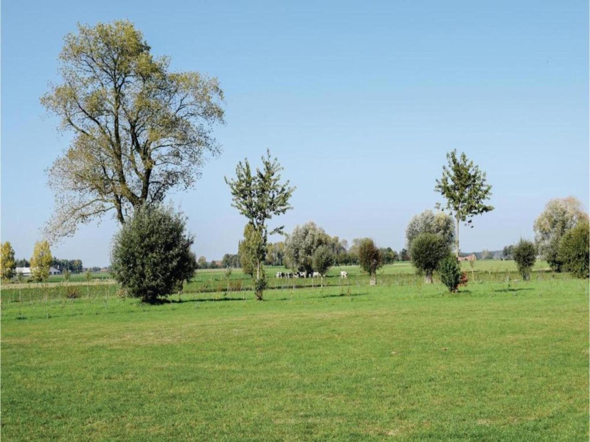 Studio In Ieper With Terrace מראה חיצוני תמונה